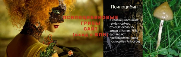хмурый Михайловка