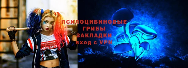 сатива Гусь-Хрустальный