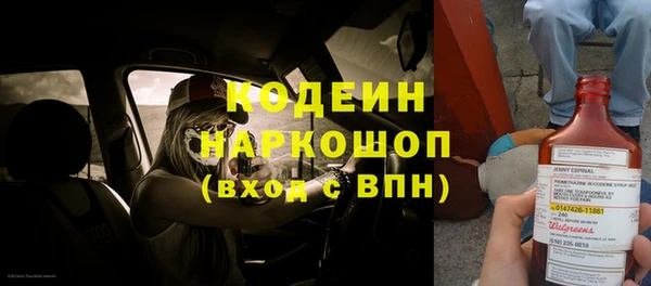 хмурый Гусев