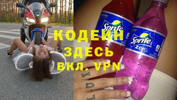 сатива Гусь-Хрустальный