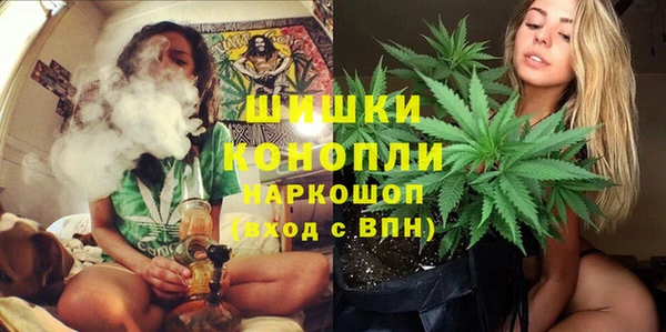 хмурый Гусев