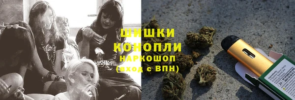 хмурый Гусев