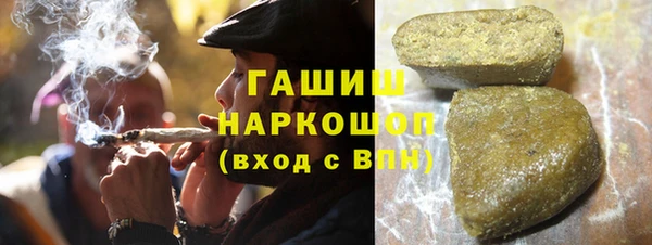 хмурый Гусев