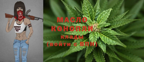 сатива Гусь-Хрустальный