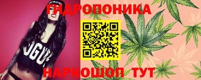 шишки Азнакаево