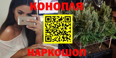 индика Беслан