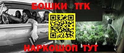 индика Беслан