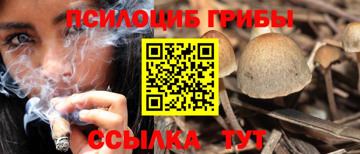 Галлюциногенные грибы ЛСД Десногорск
